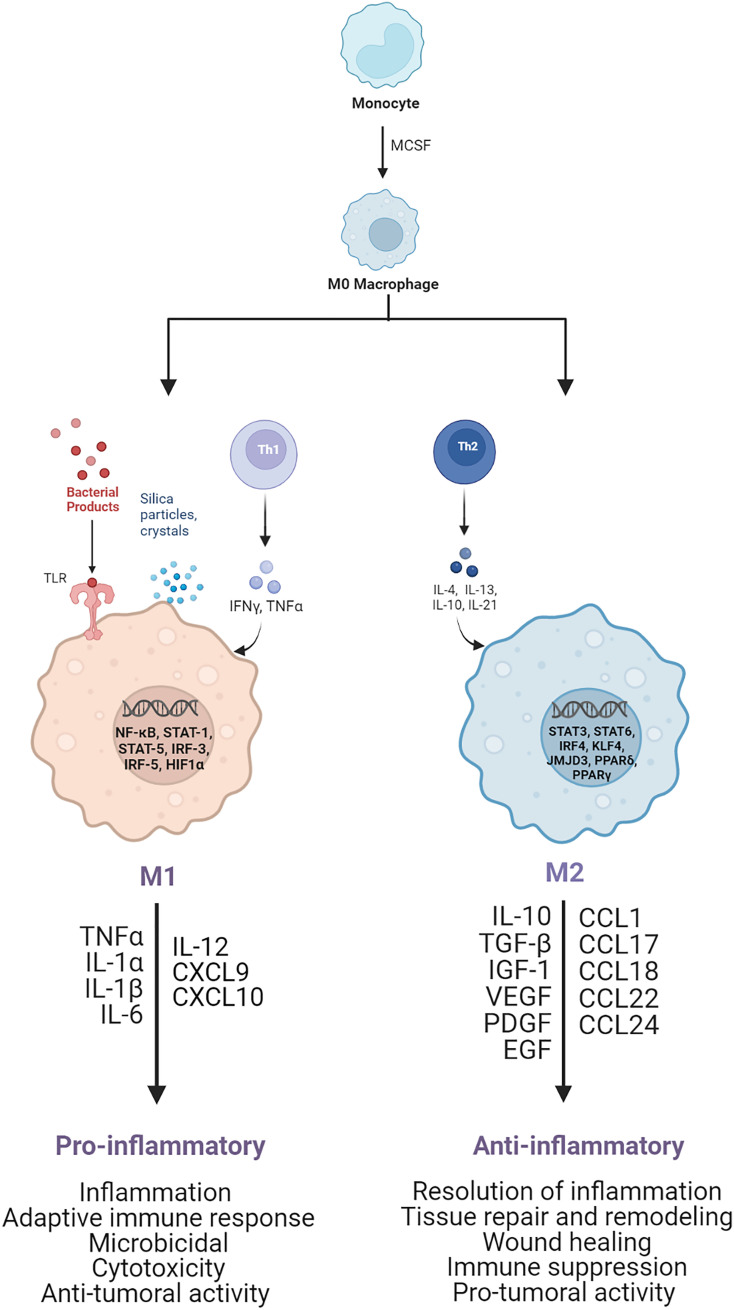 Figure 1