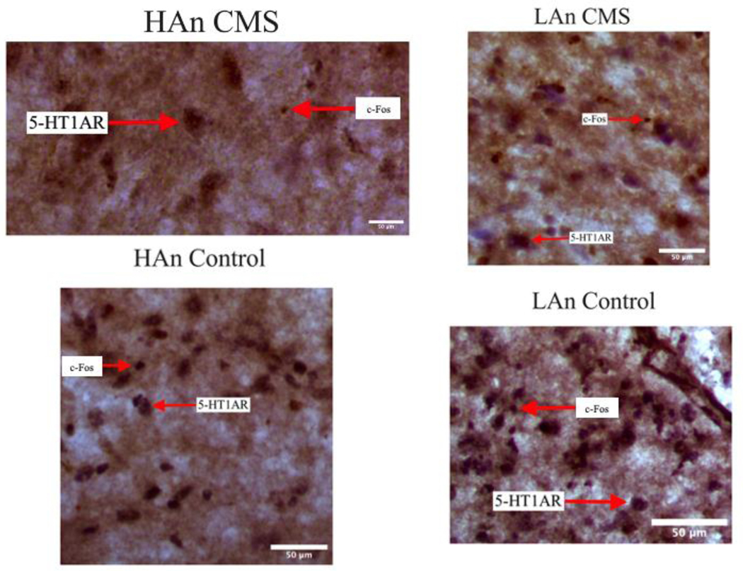 Figure 12.