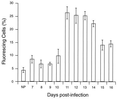 FIG. 3