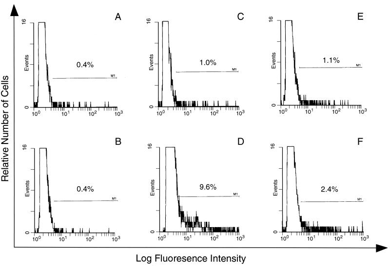 FIG. 5