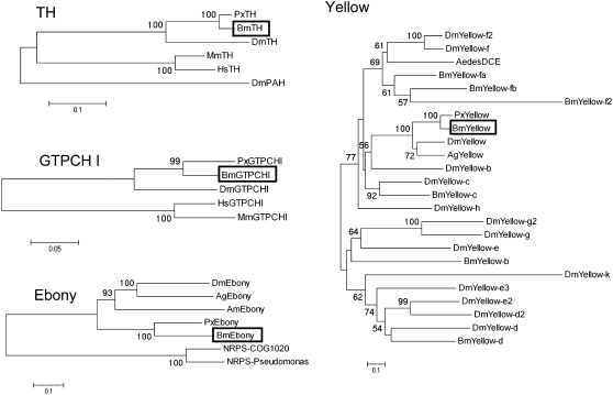 Figure 2.—