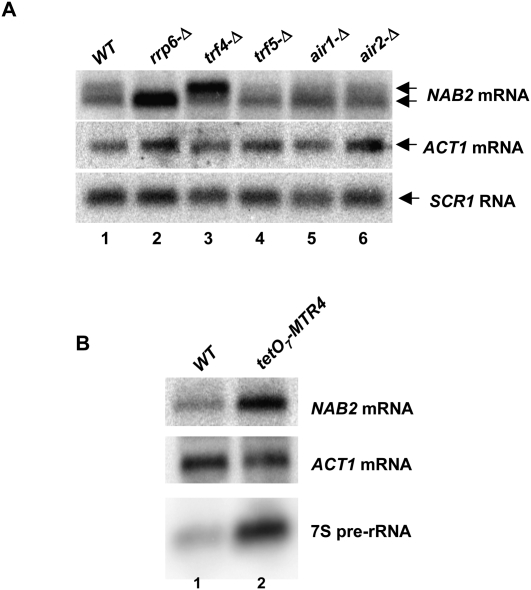 FIGURE 4.