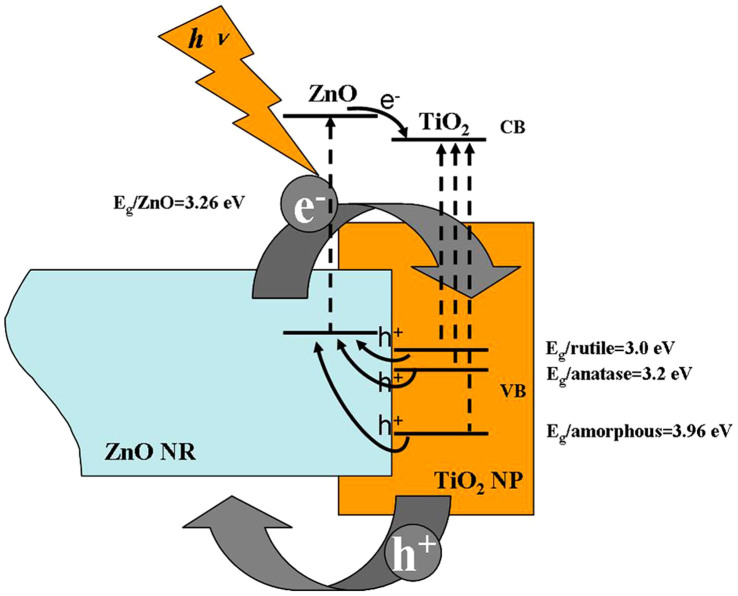 Figure 6