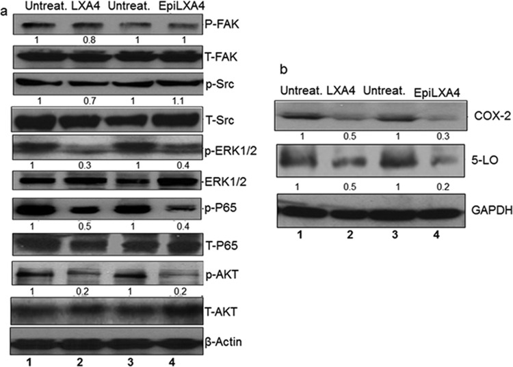 FIG 4