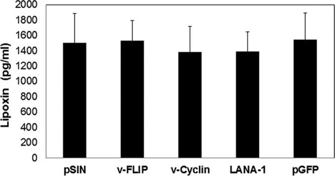 FIG 6