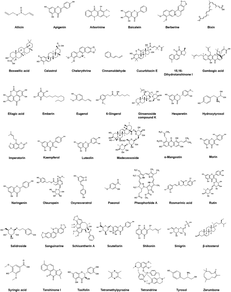 Fig. 12