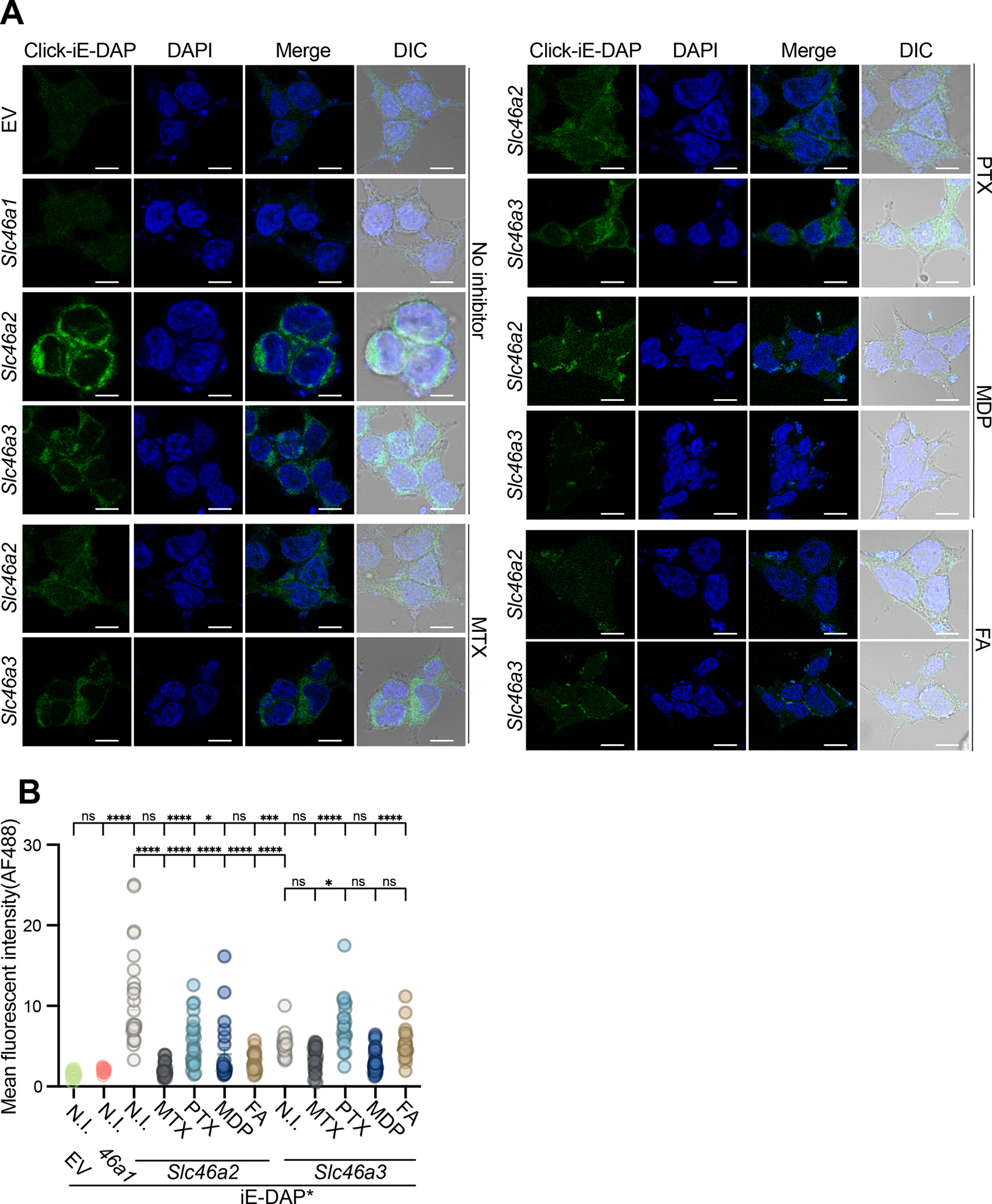 Fig. 4.