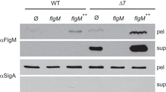 FIG 2