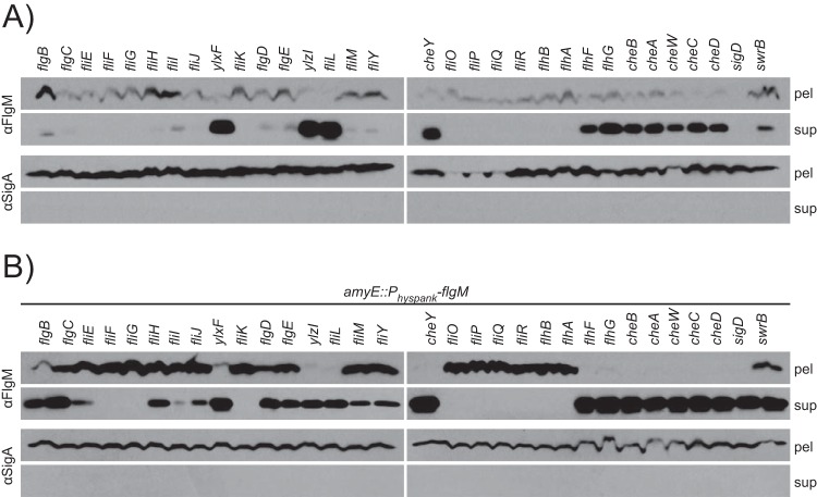 FIG 6