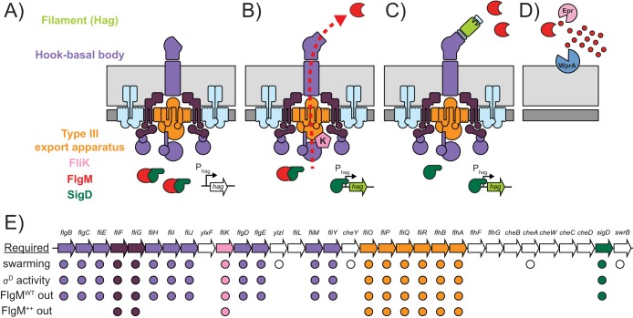 FIG 1