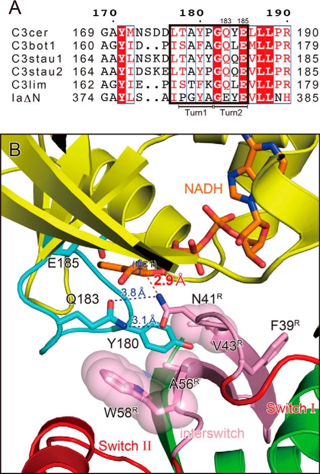 FIGURE 4.