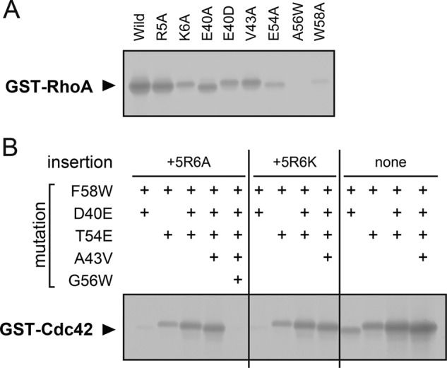 FIGURE 5.