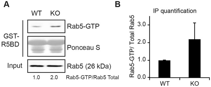 Fig. 6.