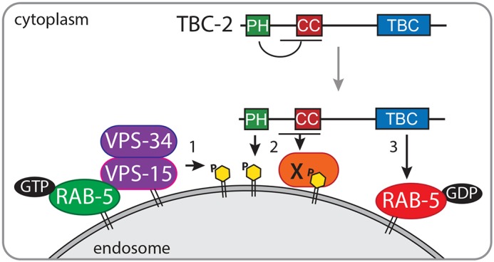 Fig. 7.