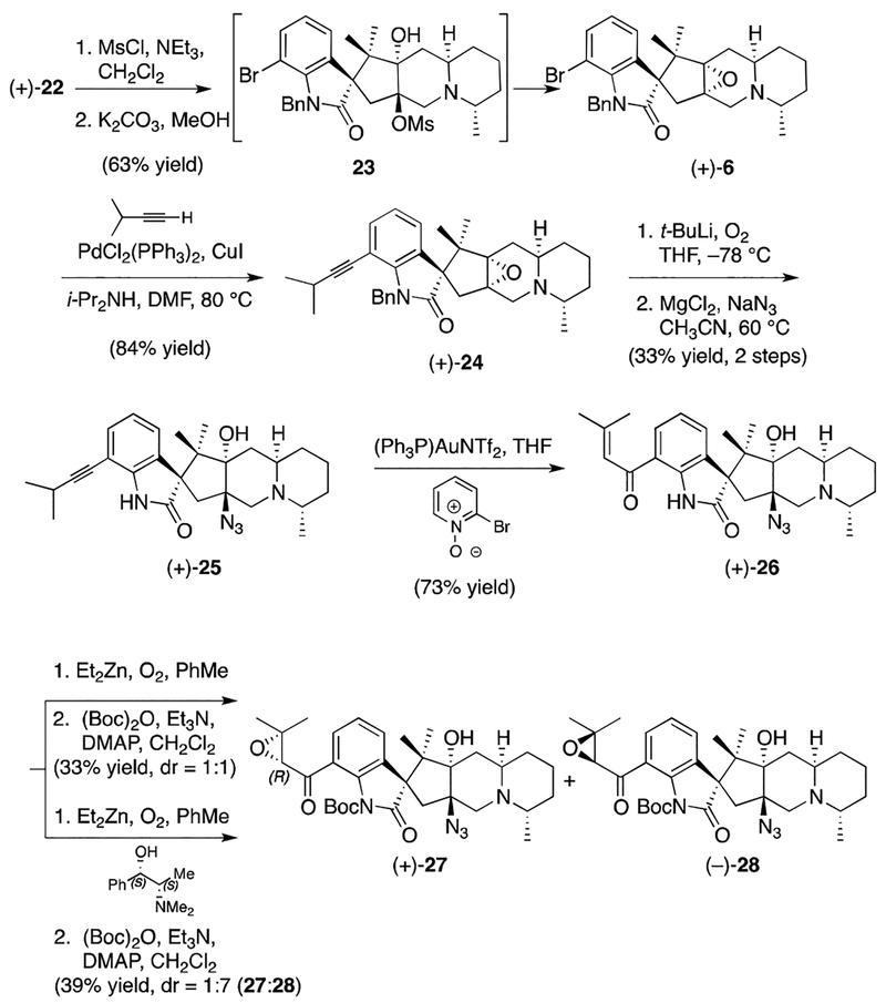 Scheme 5.