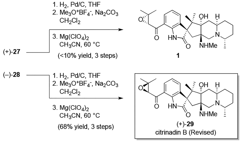 Scheme 6.