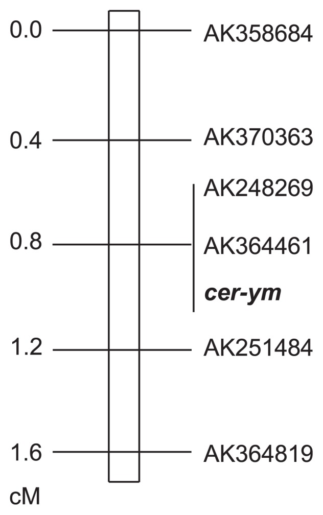 Fig. 3