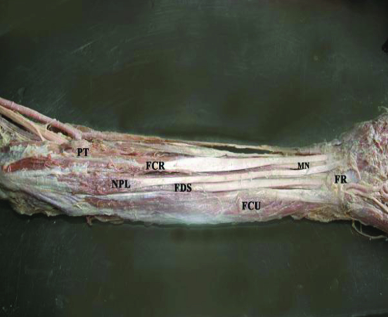 [Table/Fig-2]: