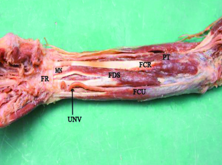 [Table/Fig-3]: