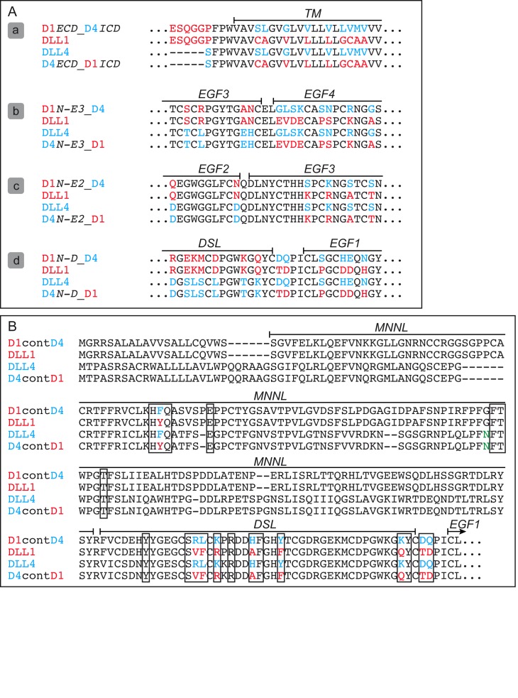 Figure 1—figure supplement 1.