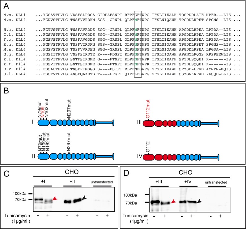 Figure 1—figure supplement 3.