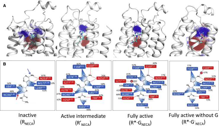 Figure 3