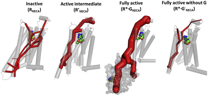 Figure 5