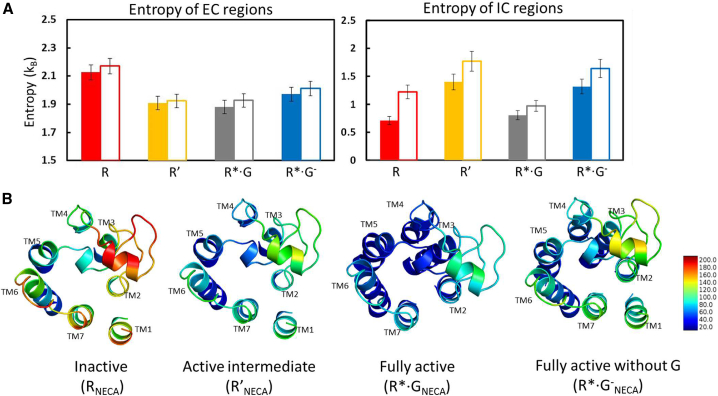 Figure 4