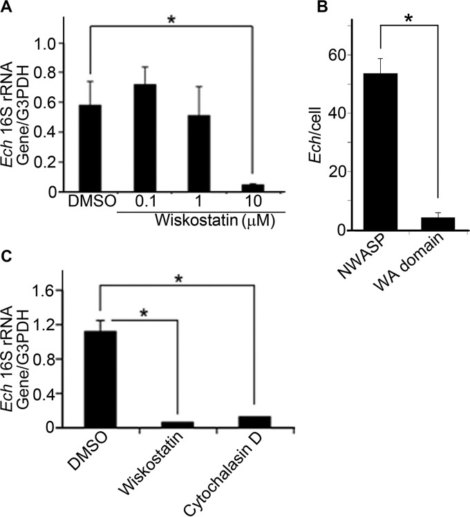 FIG 4 