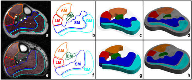 Figure 1 –