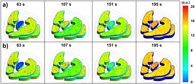 Figure 4 –