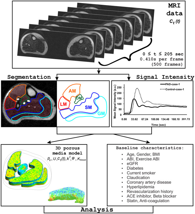 Figure 2 –