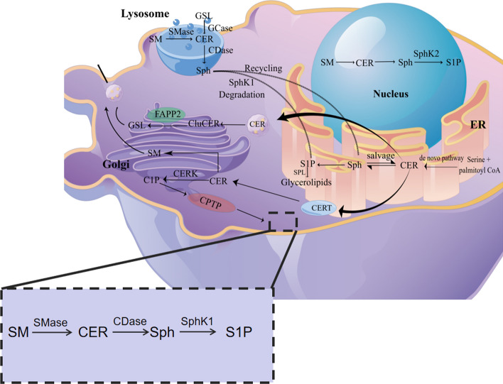 Fig. 2