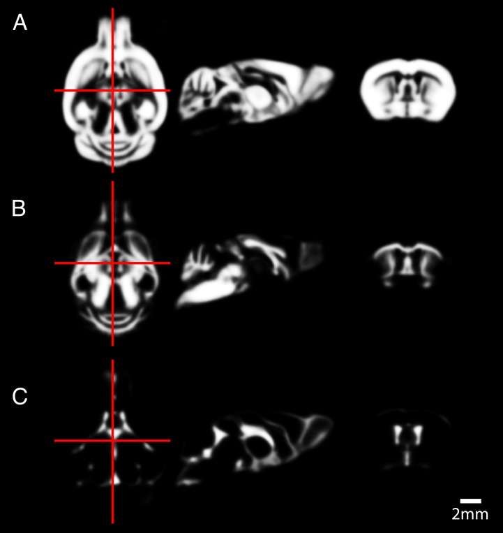 Fig. 4