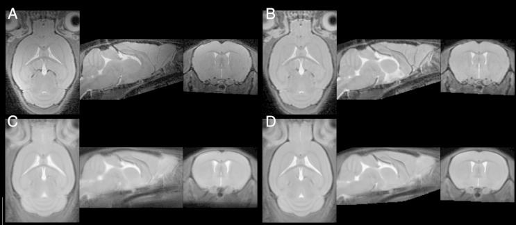 Fig. 3