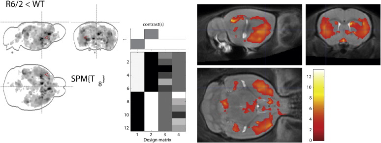 Fig. 8