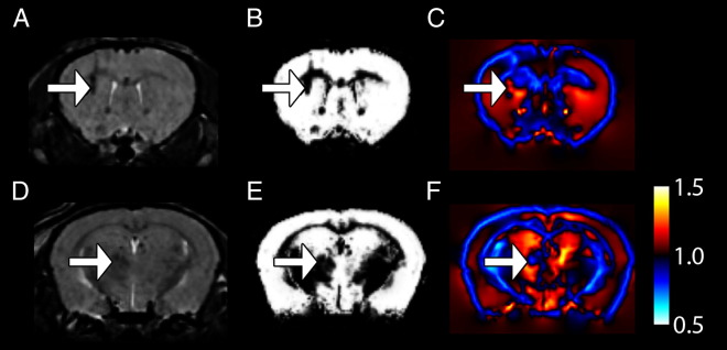 Fig. 9