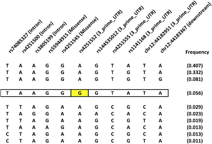 Fig. 2