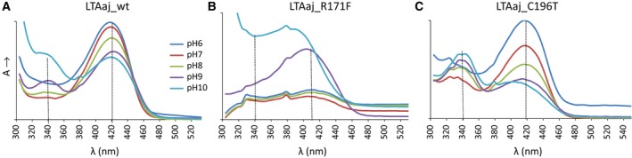 Figure 9