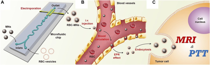 FIGURE 4