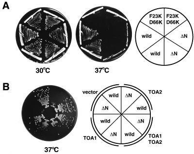 FIG. 10