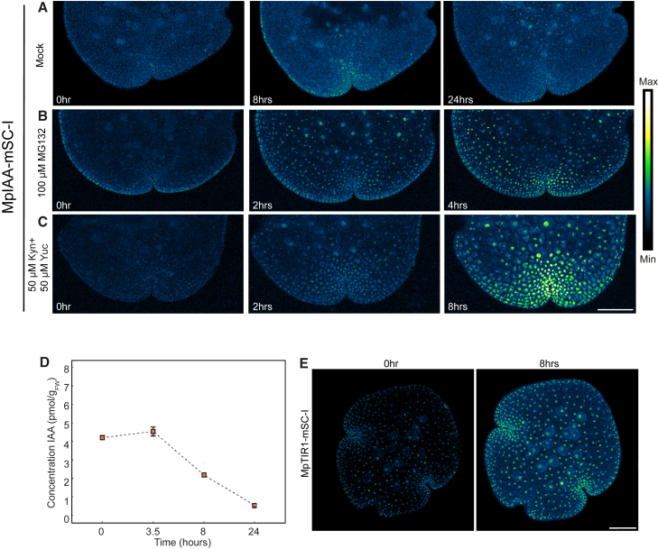 Figure 2