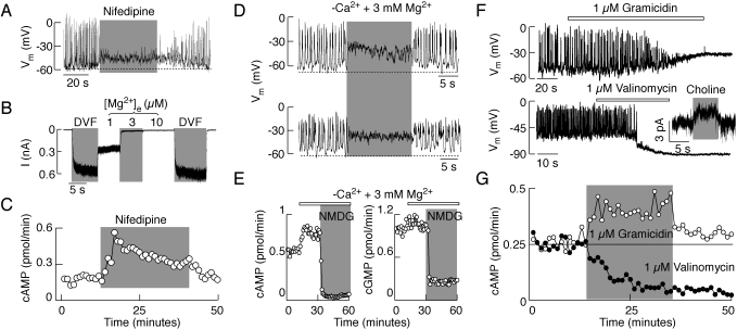 Fig. 8.