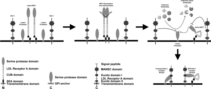 FIGURE 7.