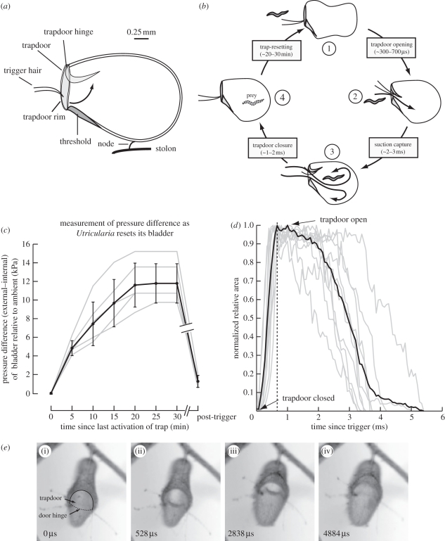 Figure 1.