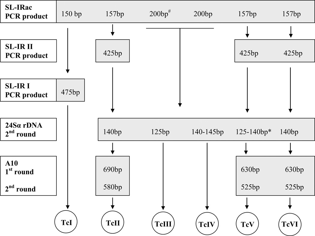 Fig.1