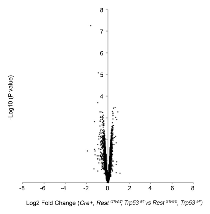 Figure 5—figure supplement 2.