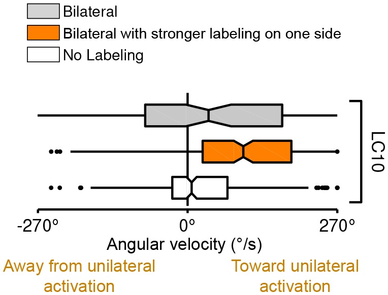 Figure 13—figure supplement 1.