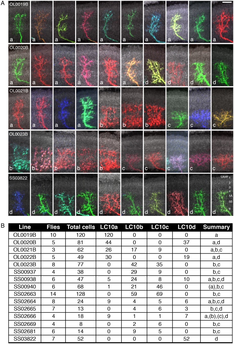 Figure 10—figure supplement 2.