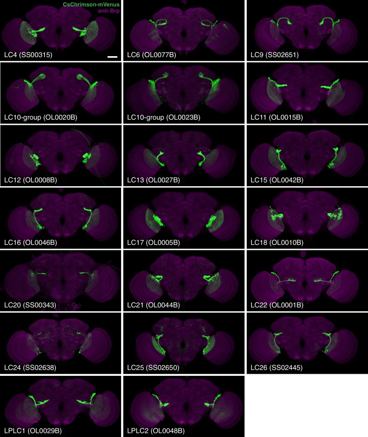 Figure 2.